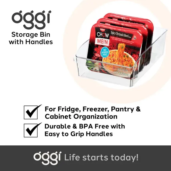 Oggi Storage Bin With Finger Grip Handle - 30x20x9cm